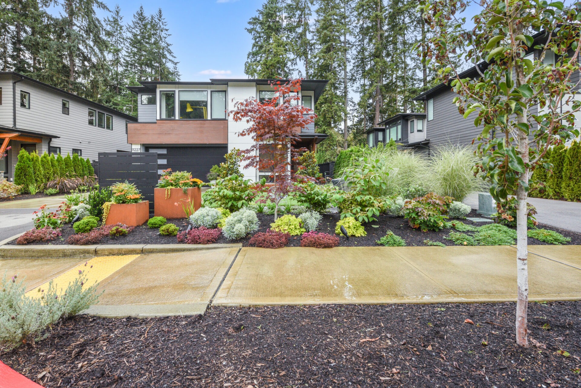 Modern house with a lush garden featuring colorful shrubs and trees, surrounded by similar homes and tall evergreens in a suburban neighborhood.