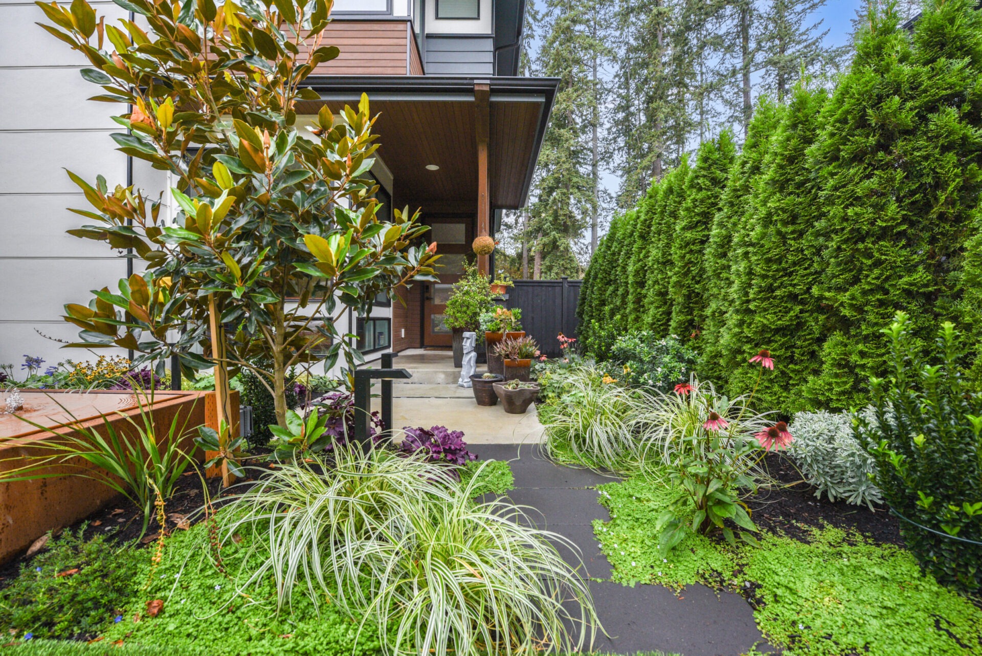 A small, lush garden with diverse plants lines a pathway leading to a modern house entrance, surrounded by tall trees.