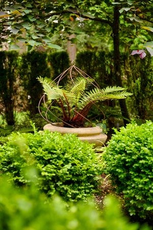 Lush garden scene with a central potted fern surrounded by manicured bushes and trees, creating a serene, natural environment. No landmarks visible.