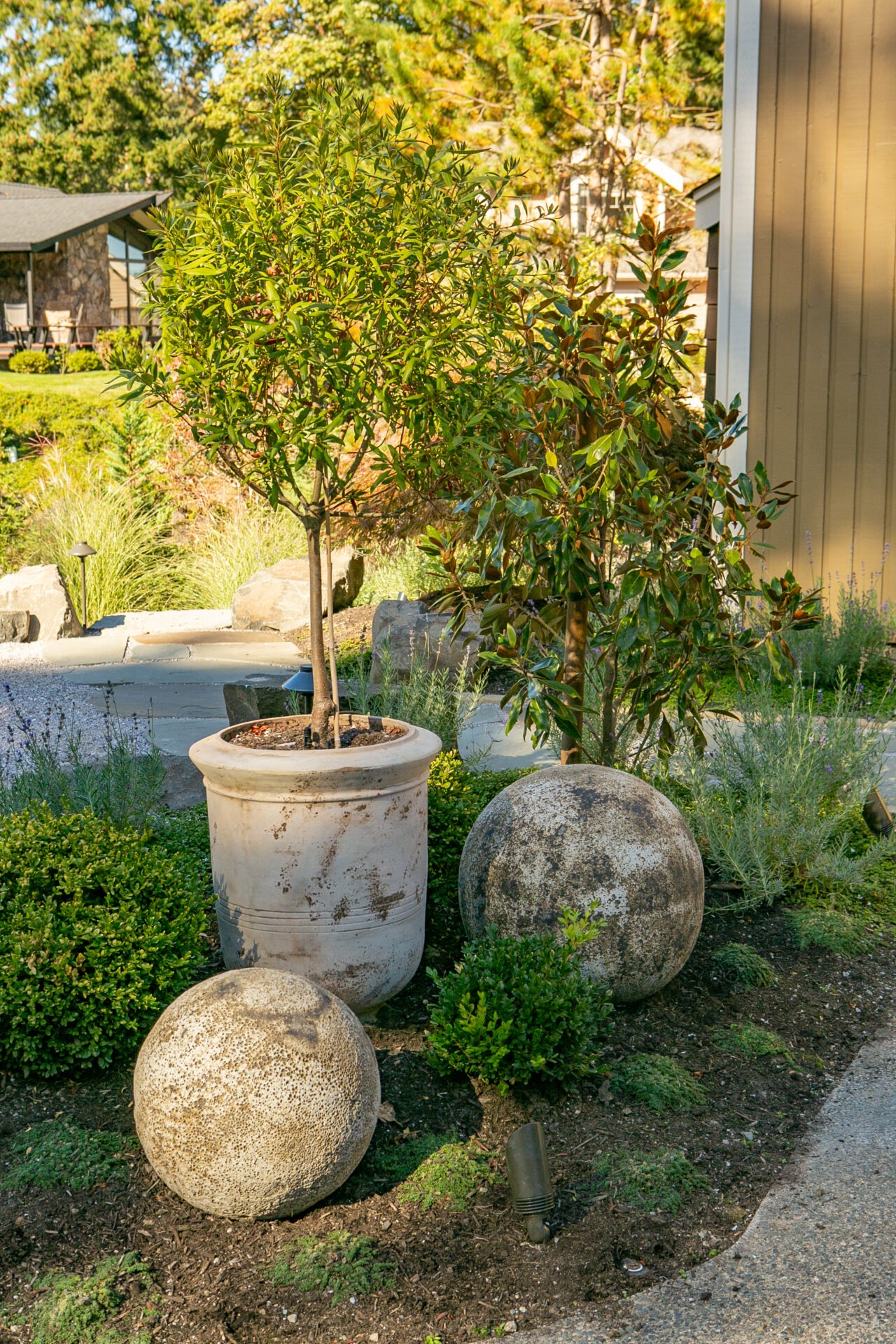 A garden area with a potted tree, two stone spheres, and surrounding greenery, set in a residential outdoor environment with sunlight.