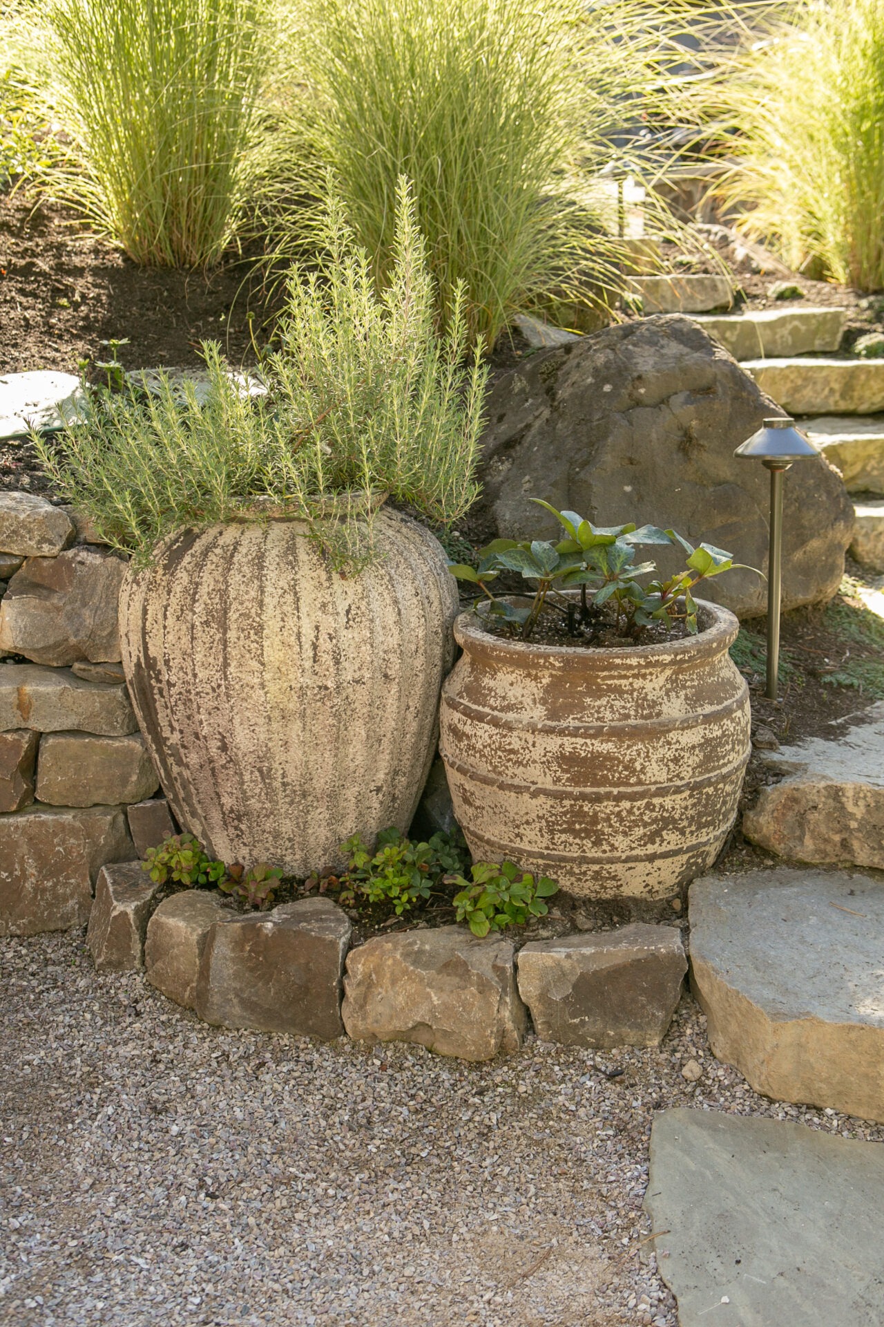 Stone path and pots with lush greenery in a garden setting. Rustic charm complements natural landscape elements, including rocks and gentle grasses.